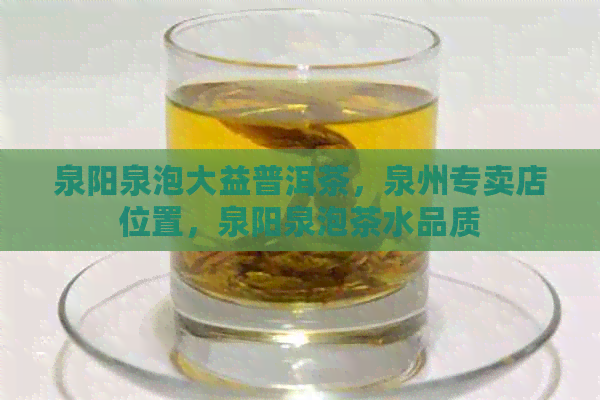 泉阳泉泡大益普洱茶，泉州专卖店位置，泉阳泉泡茶水品质