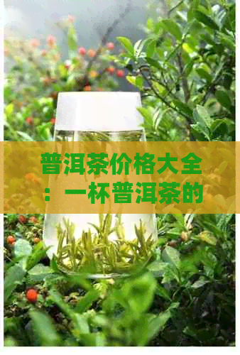 普洱茶价格大全：一杯普洱茶的成本分析与市场价对比