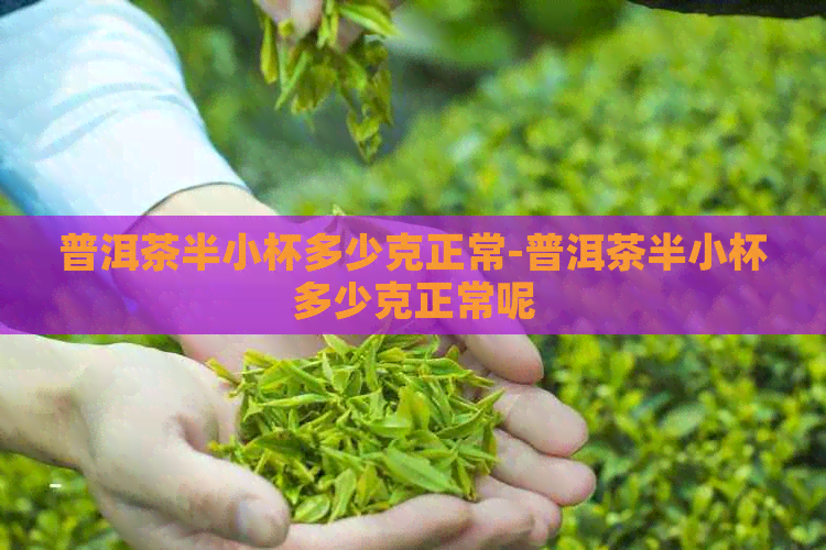 普洱茶半小杯多少克正常-普洱茶半小杯多少克正常呢