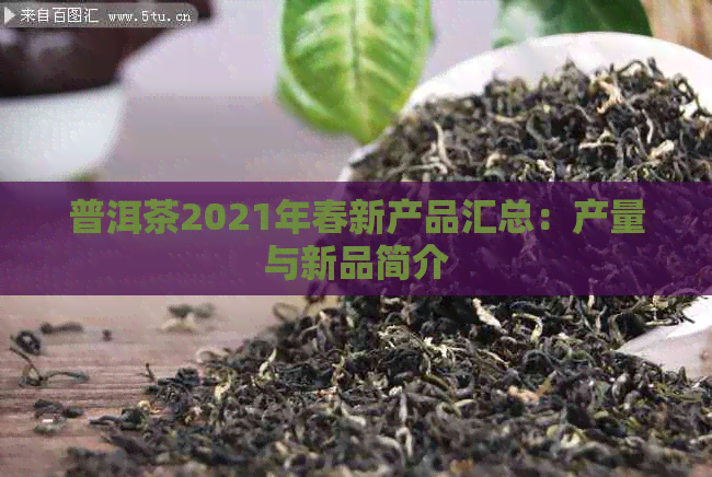 普洱茶2021年春新产品汇总：产量与新品简介