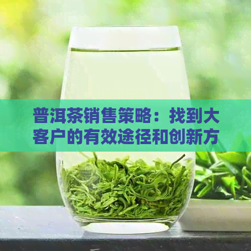 普洱茶销售策略：找到大客户的有效途径和创新方法