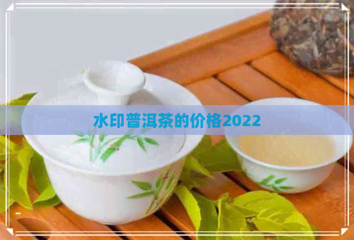 水印普洱茶的价格2022