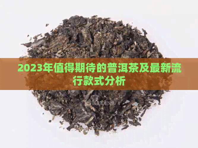 2023年值得期待的普洱茶及最新流行款式分析