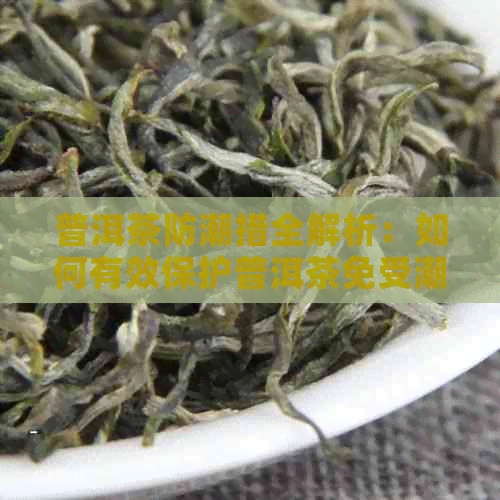 普洱茶防潮措全解析：如何有效保护普洱茶免受潮湿影响？