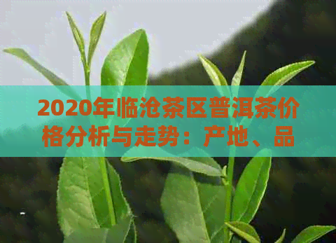 2020年临沧茶区普洱茶价格分析与走势：产地、品种、品质全面解析