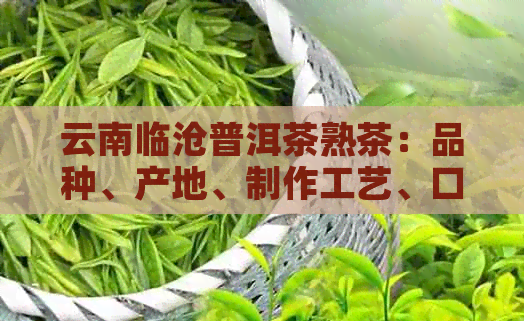 云南临沧普洱茶熟茶：品种、产地、制作工艺、口感、功效与泡法详解