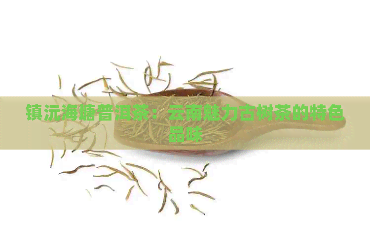 镇沅海塘普洱茶：云南魅力古树茶的特色品味