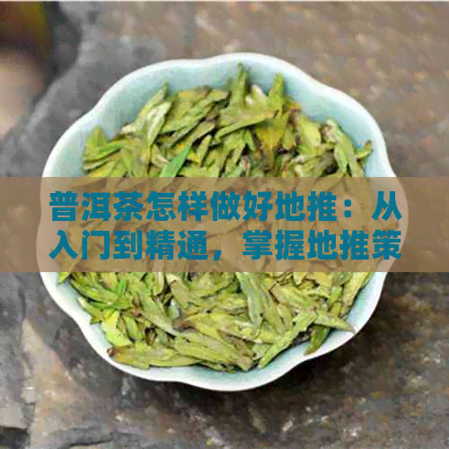 普洱茶怎样做好地推：从入门到精通，掌握地推策略与实战技巧