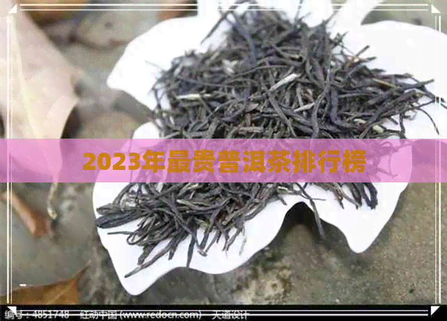 2023年最贵普洱茶排行榜