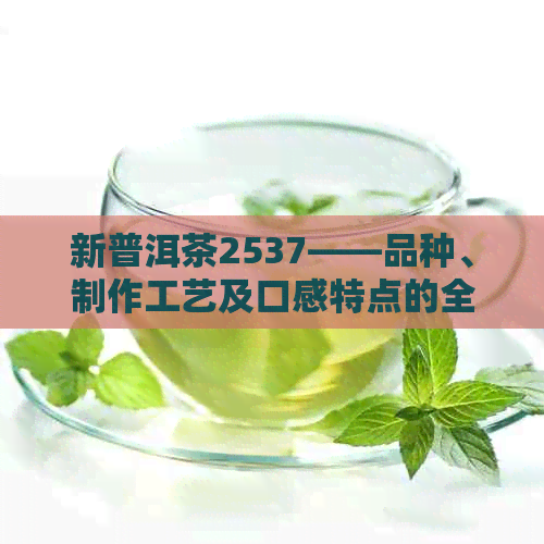 新普洱茶2537——品种、制作工艺及口感特点的全面解析