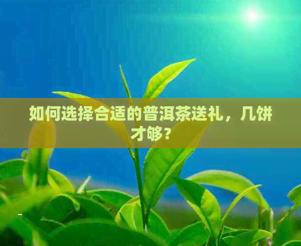 如何选择合适的普洱茶送礼，几饼才够？