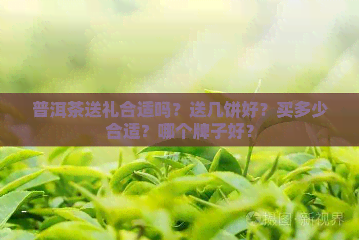 普洱茶送礼合适吗？送几饼好？买多少合适？哪个牌子好？