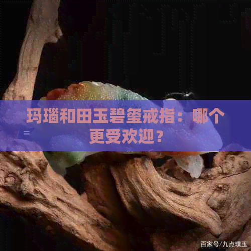 玛瑙和田玉碧玺戒指：哪个更受欢迎？