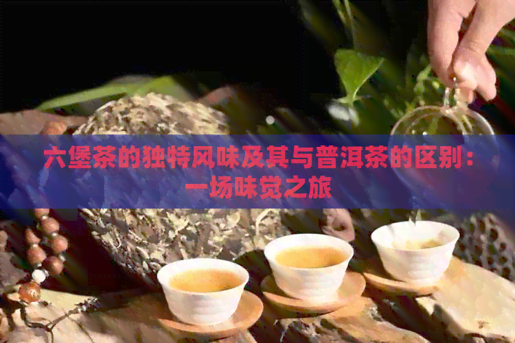 六堡茶的独特风味及其与普洱茶的区别：一场味觉之旅