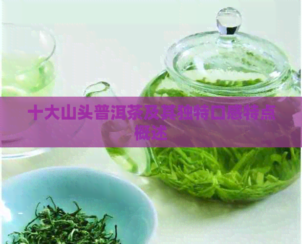 十大山头普洱茶及其独特口感特点概述