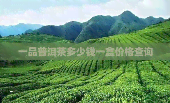 一品普洱茶多少钱一盒价格查询