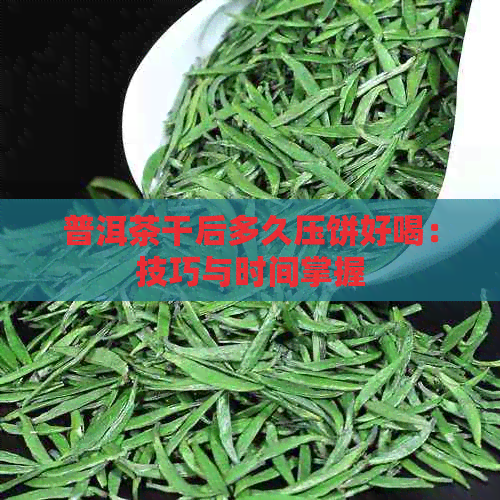 普洱茶干后多久压饼好喝：技巧与时间掌握