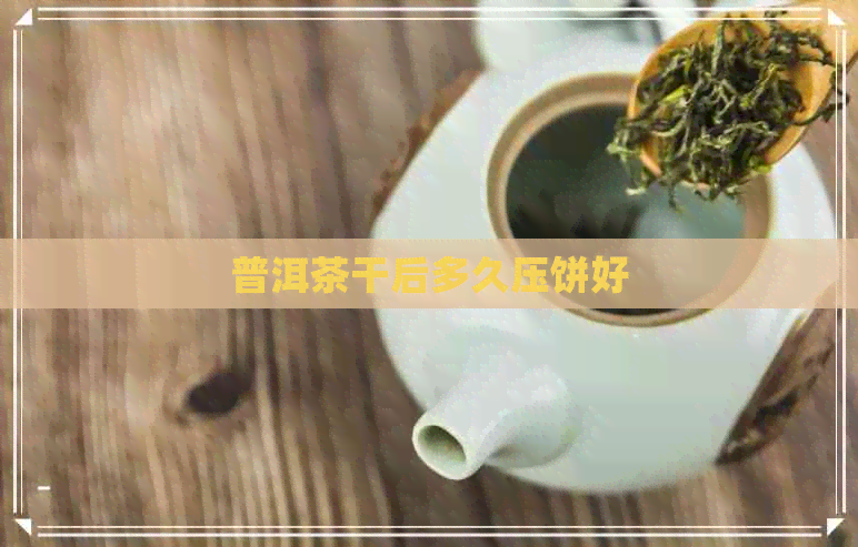 普洱茶干后多久压饼好