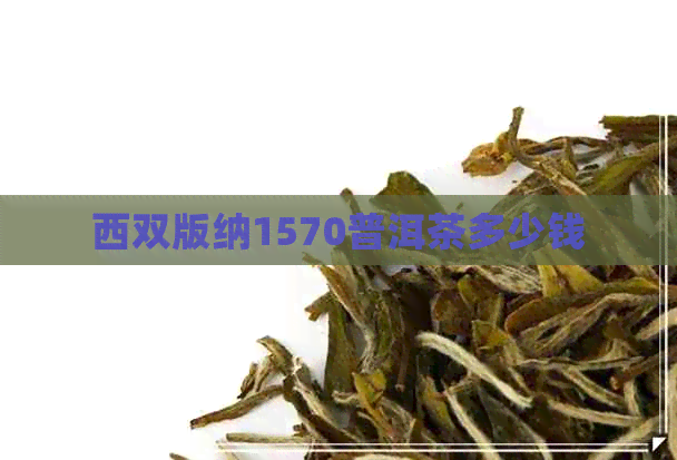 西双版纳1570普洱茶多少钱