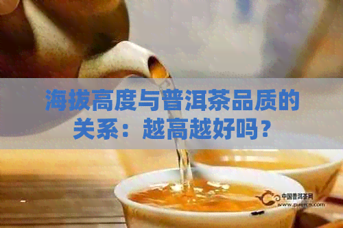 海拔高度与普洱茶品质的关系：越高越好吗？