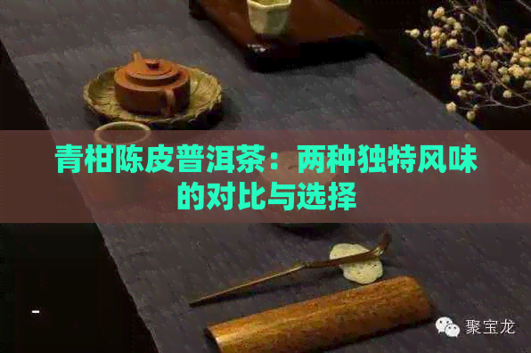 青柑陈皮普洱茶：两种独特风味的对比与选择