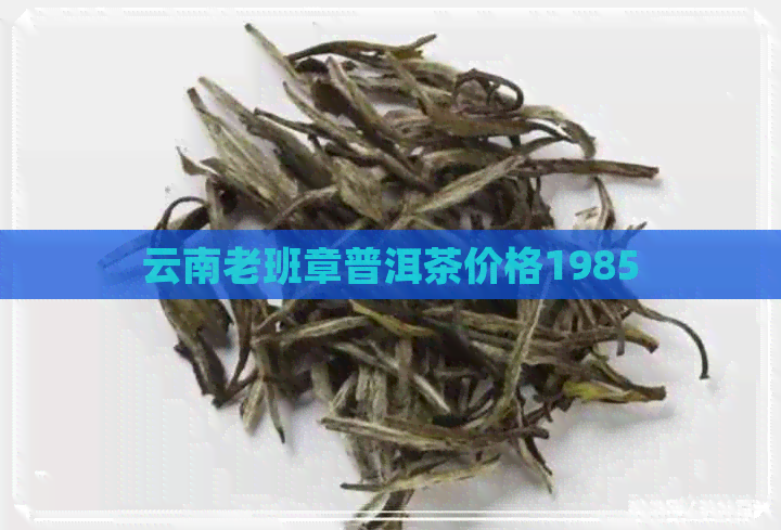 云南老班章普洱茶价格1985