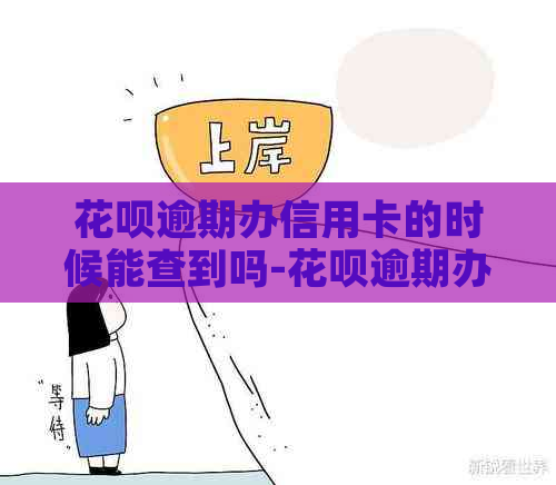 花呗逾期办信用卡的时候能查到吗-花呗逾期办信用卡的时候能查到吗安全吗