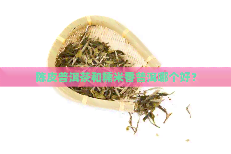 陈皮普洱茶和糯米香普洱哪个好？