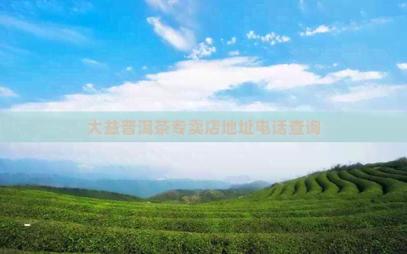 大益普洱茶专卖店地址电话查询