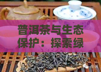 普洱茶与生态保护：探索绿色产业的可持续性发展之路