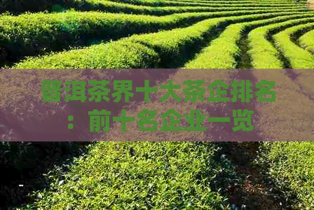 普洱茶界十大茶企排名：前十名企业一览