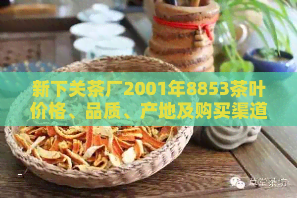 新下关茶厂2001年8853茶叶价格、品质、产地及购买渠道全面解析