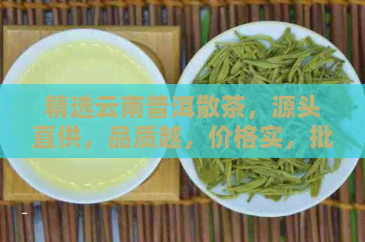 精选云南普洱散茶，源头直供，品质越，价格实，批发采购