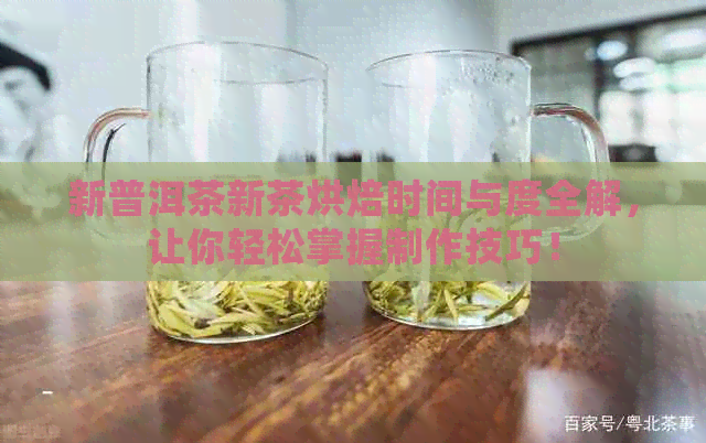 新普洱茶新茶烘焙时间与度全解，让你轻松掌握制作技巧！