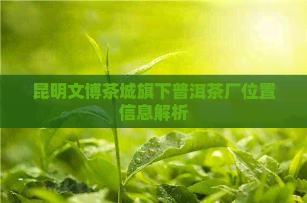 昆明文博茶城旗下普洱茶厂位置信息解析