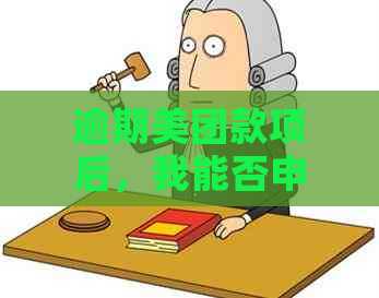 逾期美团款项后，我能否申请信用卡？还有其他解决方案吗？