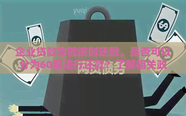 企业贷款未能按时还款，是否可以分为60期进行还款？了解相关政策和操作流程