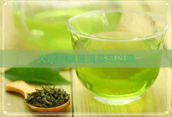 大水缸放普洱茶可以吗