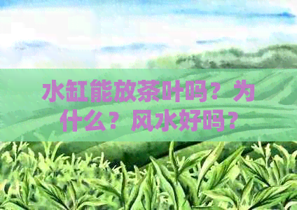 水缸能放茶叶吗？为什么？风水好吗？