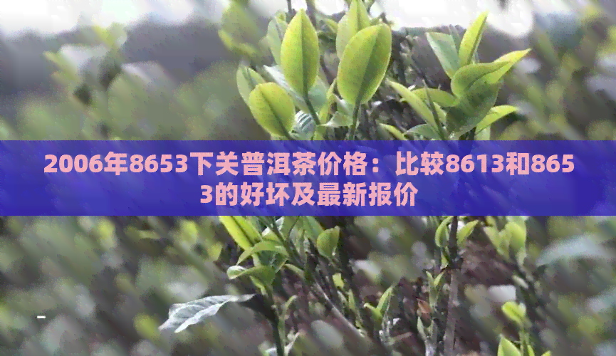 2006年8653下关普洱茶价格：比较8613和8653的好坏及最新报价