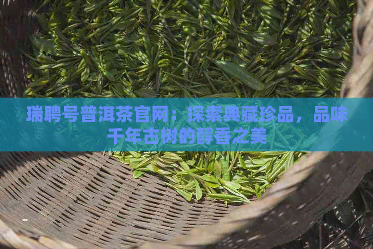 瑞聘号普洱茶官网：探索典藏珍品，品味千年古树的醇香之美