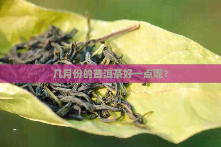 几月份的普洱茶好一点呢？