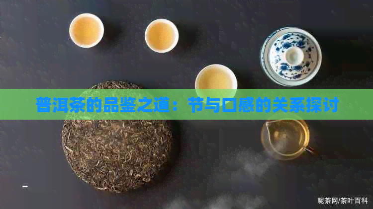 普洱茶的品鉴之道：节与口感的关系探讨