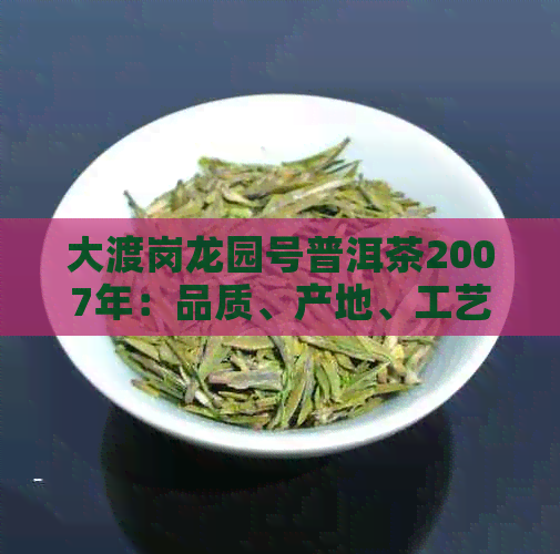 大渡岗龙园号普洱茶2007年：品质、产地、工艺及口感全面解析