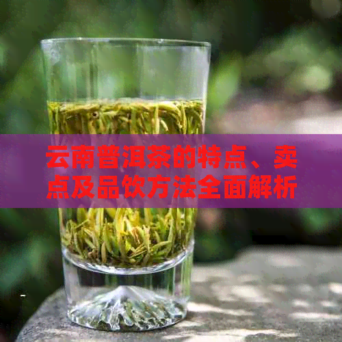 云南普洱茶的特点、卖点及品饮方法全面解析：了解这一杯中国茶的精髓与魅力