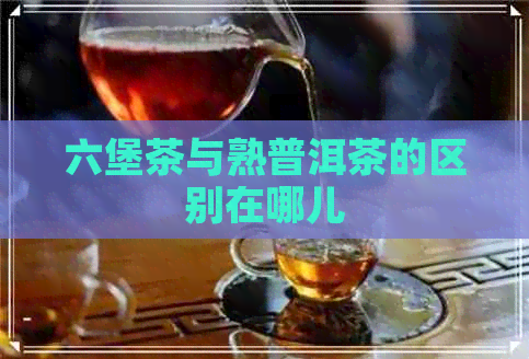 六堡茶与熟普洱茶的区别在哪儿