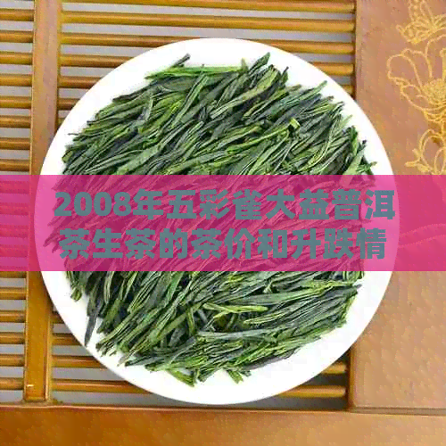 2008年五彩雀大益普洱茶生茶的茶价和升跌情况