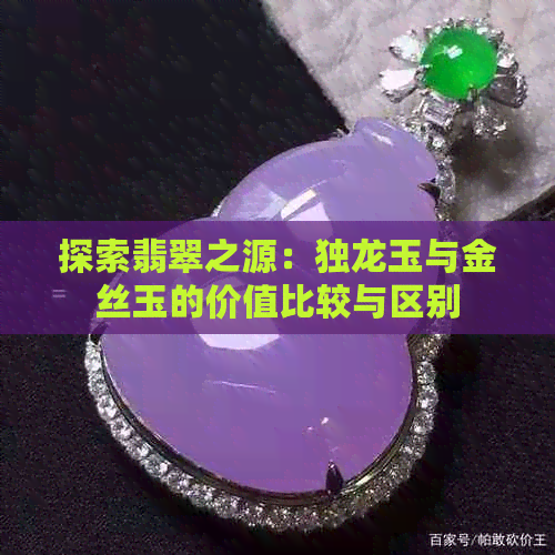 探索翡翠之源：独龙玉与金丝玉的价值比较与区别