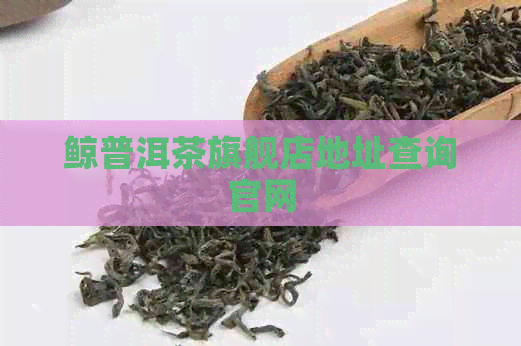 鲸普洱茶旗舰店地址查询官网