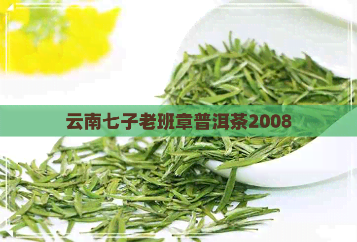 云南七子老班章普洱茶2008